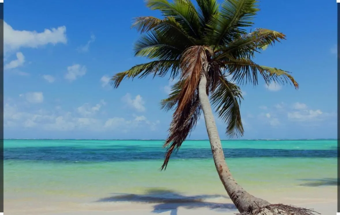 Las Cayenas 蓬塔卡纳 多米尼加共和国